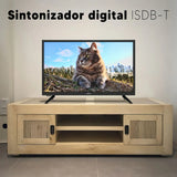 TV Enxuta LED HD 24″