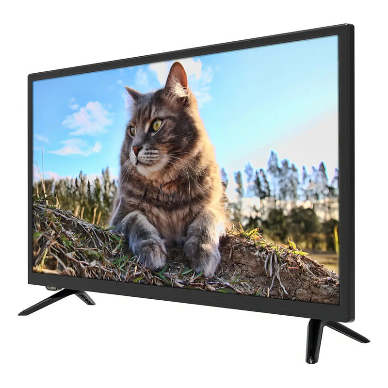 TV Enxuta LED HD 24″